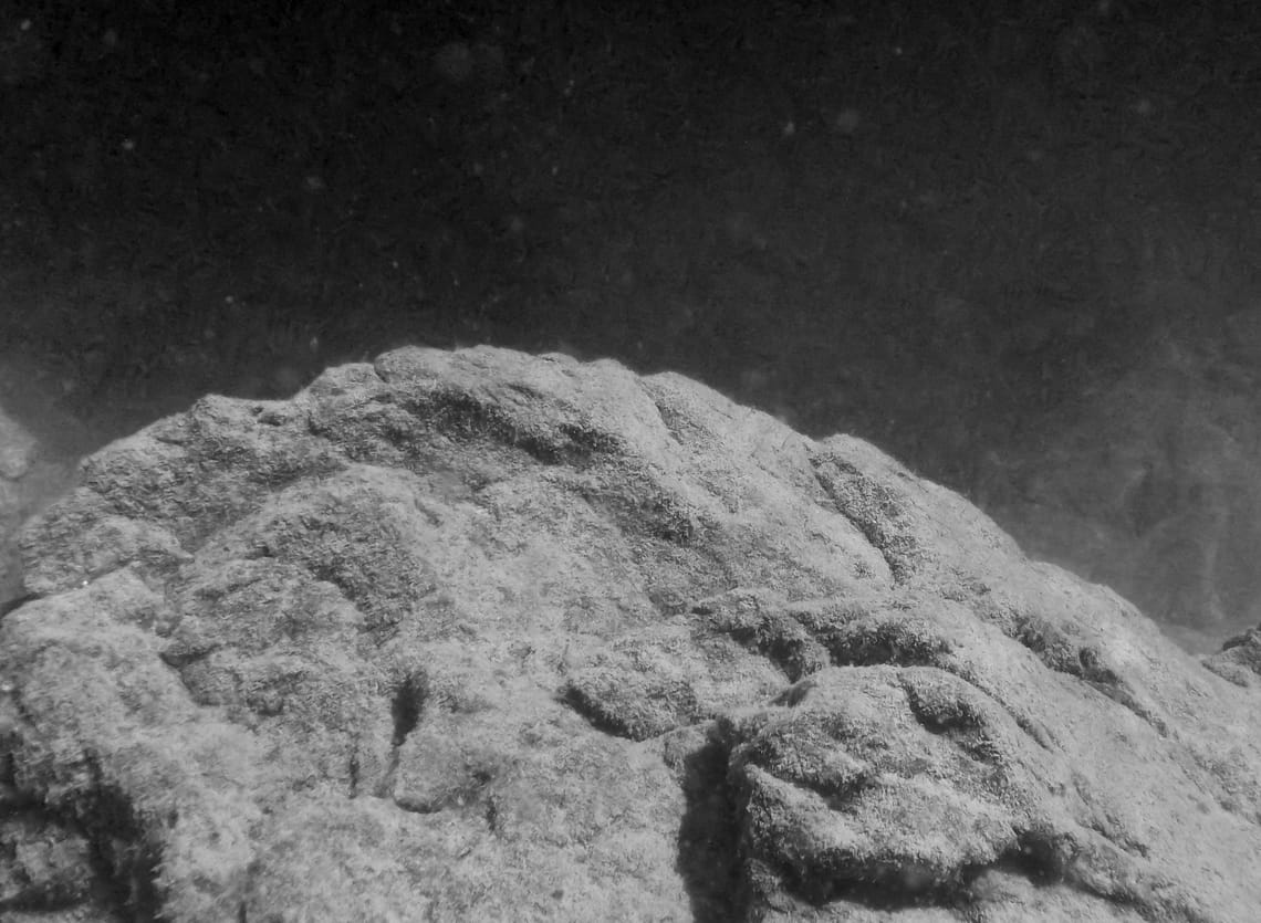 Unconquered Spaces, 2021