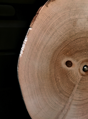 Le cri n'a pas trouvé d'oreille